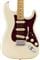 Fender Player Plus Stratocaster Maple Neck Olympic Pearl with Bag Body View